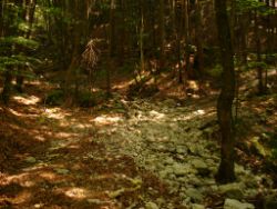 2013-07-20_Regina-F-Rau_Kochel-Rabenkopf (273).JPG